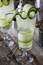 Cucumber spritzer cocktail garnished with a long cucumber slice, ready for drinking.