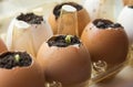 Cucumber sprouts in the shell and egg containers on the windowsill. Royalty Free Stock Photo