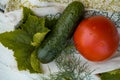 cucumber and tomato and dill on a linen napkin with embroidery. Fresh vegetables from the garden. leaves of greenery. Royalty Free Stock Photo