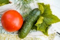 cucumber and tomato and dill on a linen napkin with embroidery. Fresh vegetables from the garden. leaves of greenery. Royalty Free Stock Photo