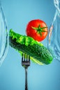 cucumber, tomato and lettuce on a fork in water splashes Royalty Free Stock Photo