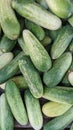 Cucumber top view, greenhouse cucumbers, long cucumbers, vegetables harvest, food background.