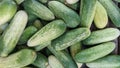 Cucumber top view, greenhouse cucumbers, long cucumbers, vegetables harvest, food background. Place for text.