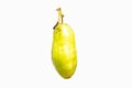 Cucumber tree, sorrel, Bilimbi, Averrhoa bilimbi or Taling Pling in Thai language is fruit-bearing of genus Averrhoa
