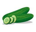 cucumber vector drawing