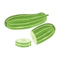 Cucumber vector.Fresh cucumber illustration