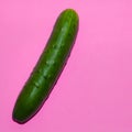 Cucumber vegetable flat lay art