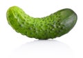 Cucumber vegetable isolated on white background