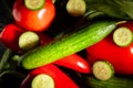 cucumber vegetable mix Royalty Free Stock Photo