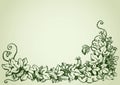 Cucumber vine. Vector drawing