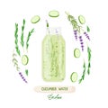 Cucumber water. Glass botlle and ingredients for making fresh healthy drink. Rosemary, lavender, cucumber. Detox water