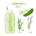 Cucumber water in glass botlle. Ingredients for making fresh Summer drink. Rosemary, lavender, cucumber. Detox water