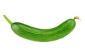 Cucumber