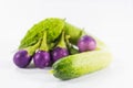 Cucumber on white background