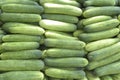 Bunch of fresh green cucumber