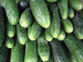 Cucumbers Royalty Free Stock Photo