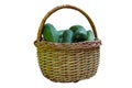Cucumbers in basket on isolated background. Summer harvest closeup concept image. Organic diet food