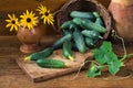 Cucumbers in  basket on  wooden table Royalty Free Stock Photo