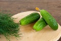 Cucumbers and bunch of fresh organic dill on a rustic wooden background. Royalty Free Stock Photo