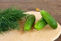 Cucumbers and bunch of fresh organic dill on a rustic wooden background. Royalty Free Stock Photo