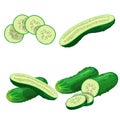 Cucumbers in cartoon style set. Whole cucumber, half, flying slices and cucumbers group. Fresh farm vegetables collection. Vector Royalty Free Stock Photo