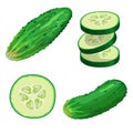 Cucumbers in cartoon style set. Whole cucumber, slice, flying slices. Fresh farm vegetables collection. Vector illustrations Royalty Free Stock Photo