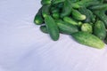 Cucumbers closeup image. Pile of green vegetables perspective view with copy space. Summer harvest or organic diet food