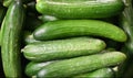 Cucumbers at Conscious Farms, farmers market