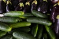 Cucumbers and Eggplant Nestled Together