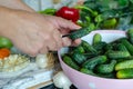 Cucumbers with garlic, salt and dill for pickling Royalty Free Stock Photo