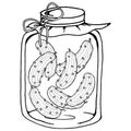 Cucumbers in a glass jar. Vector illustration of pickled cucumbers in a jar. Pickles in a glass bottle