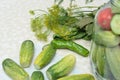 Cucumbers with green hot pepper on the table with glass jar with pickled vegetables cucumber and tomato with herbs and Royalty Free Stock Photo