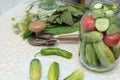 Cucumbers with green hot pepper on the table with glass jar with pickled vegetables cucumber and tomato with herbs and Royalty Free Stock Photo