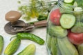 Cucumbers with green hot pepper on the table with glass jar with pickled vegetables cucumber and tomato with herbs and Royalty Free Stock Photo