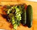 Cucumbers green salad dill parsley cilantro cucumber on kitchen