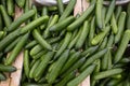 Cucumbers green on a shop counter basket. Royalty Free Stock Photo