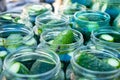 Cucumbers in jars, the process of making pickled gherkinsn