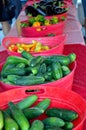 Cucumbers and Peppers Royalty Free Stock Photo