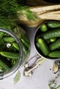 Cucumbers for pickling. Fresh cucumbers ready for canning with dill, garlic and spices. Royalty Free Stock Photo