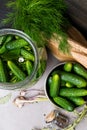 Cucumbers for pickling. Fresh cucumbers ready for canning with dill, garlic and spices. Royalty Free Stock Photo