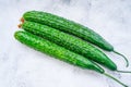 Cucumbers are a refreshing and versatile vegetable.They are long and cylindrical in shape Royalty Free Stock Photo