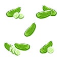 Cucumbers set. Vector