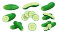 Cucumbers set. Whole, halved, sliced cucumbers. Fresh green cucumbers. Organic vegetables. Best for menu, market designs.