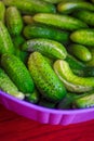 Cucumbers soaked in water for pickling. Homemade cucumbers. . Stocks for the winter. Billets from vegetables.