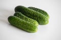 cucumbers on the table, large cucumbers, cucumbers from the garden, fresh vegetables, green vegetables Royalty Free Stock Photo