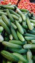 Cucumbers and Tomatoes on sale