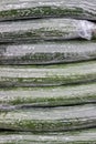 Cucumbers Wrapped in Plastic Background