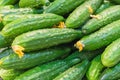 Cucumbers with yellow inflorescences in the store