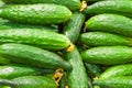 Cucumbers with yellow inflorescences in the store