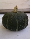 Cucurbita maxima Delica F1 09